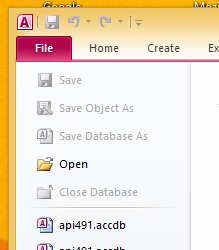 Microsoft Access File Open Menu